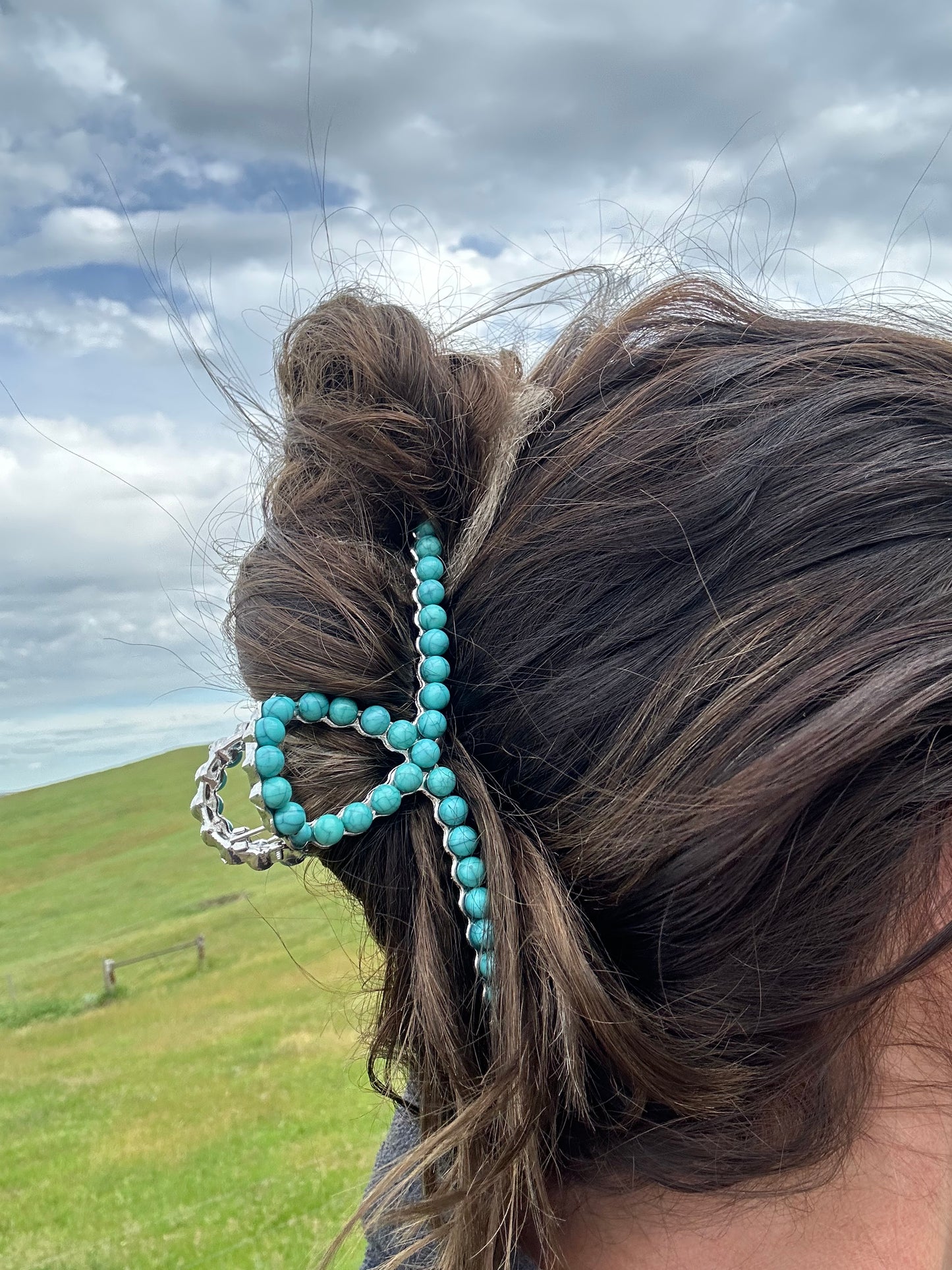 Turquoise “faux” clip