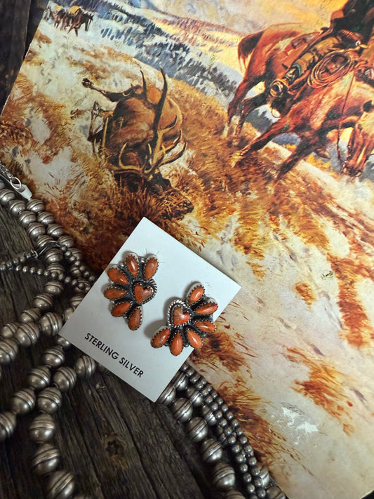 Orange Mohave to my heart